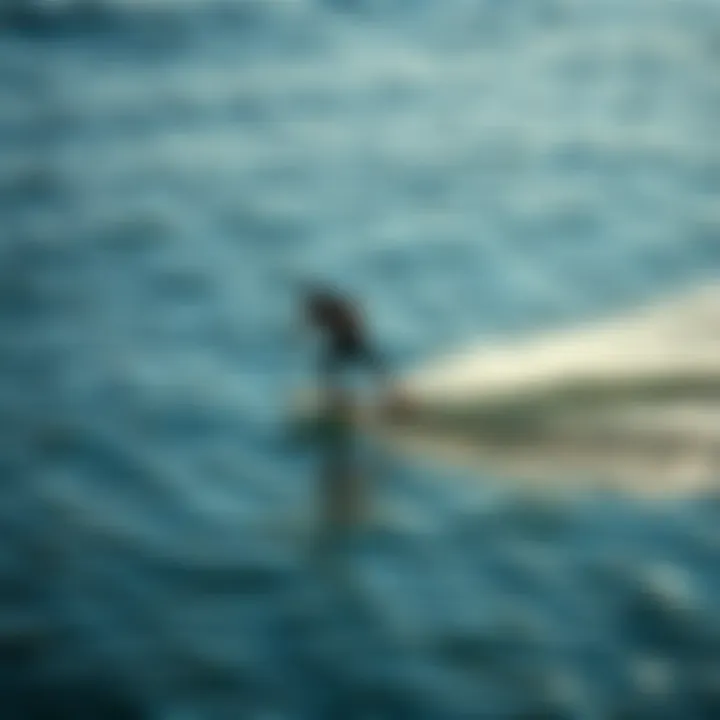 Graceful Glide on Water Skimboarder gliding over the water's surface