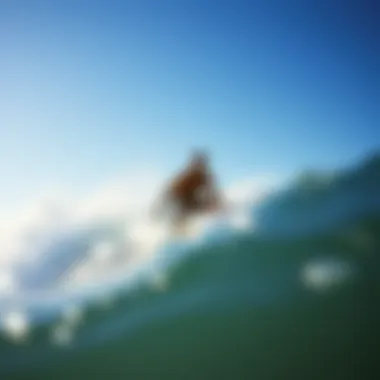 Surfer Experience with Shark Deterrent Technology A surfer enjoying waves with a shark deterrent surfboard