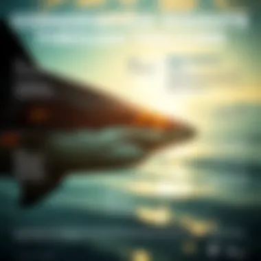 An infographic illustrating the importance of conservation efforts for sharks.