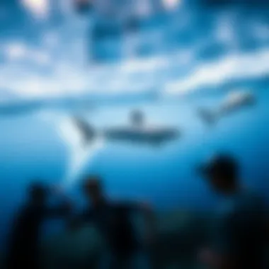 A detailed view of a shark tracking map displaying various species.