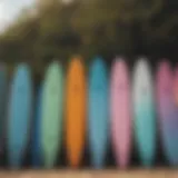 A vibrant collection of various soft top surfboards lined up on the beach