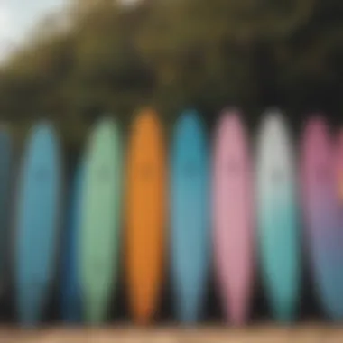 A vibrant collection of various soft top surfboards lined up on the beach