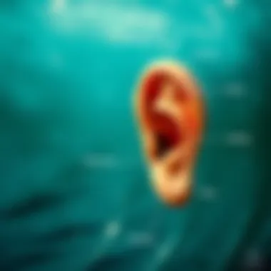 Anatomy of Surf Ears Diagram showcasing ear anatomy for surfers