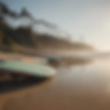 Surfboards lined up on the sandy beach