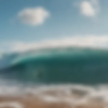 Surfer observing the ocean before catching a wave