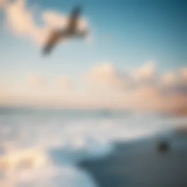 A serene beachscape showcasing the beauty of the ocean environment