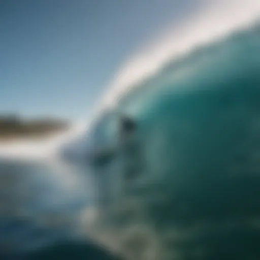 Surfer checking wave conditions via Surfline Free