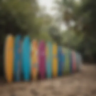 Colorful surfboards lined up on the sandy shore