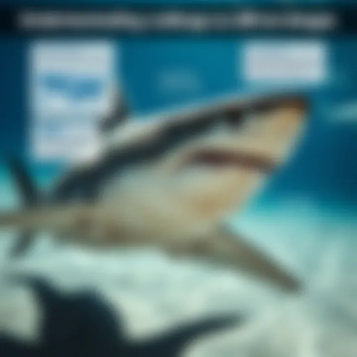 Infographic depicting conservation challenges faced by blue sharks