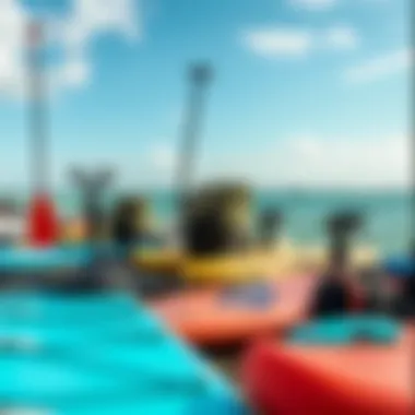 An assortment of paddle boarding gear displayed, highlighting the essential equipment for enthusiasts