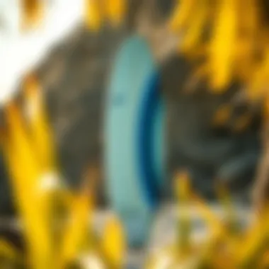 A hybrid surfboard displaying its unique features