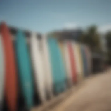 Dockside view featuring surfboards stored alongside boats.