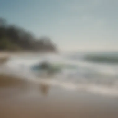 A tranquil beach view showcasing local conservation efforts