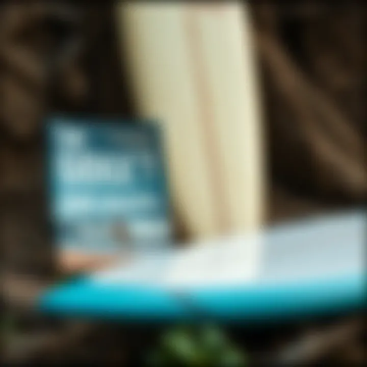 Surfboard alongside the Gidget book