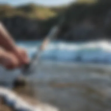 A detailed illustration of maintenance practices for the Ocean Master surf casting rod