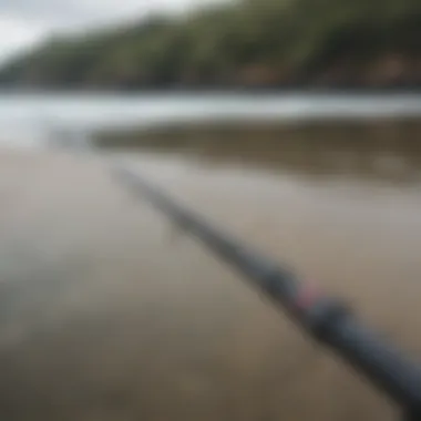 Performance Benchmarks of Surf Casting Rods Comparison chart highlighting the performance benchmarks of various surf casting rods