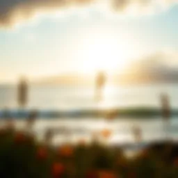 A serene landscape symbolizing peace during fasting