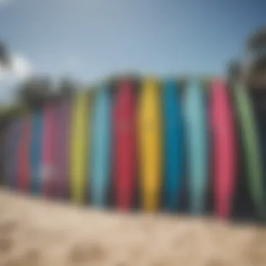 Colorful boogie boards lined up for sale in a surf shop