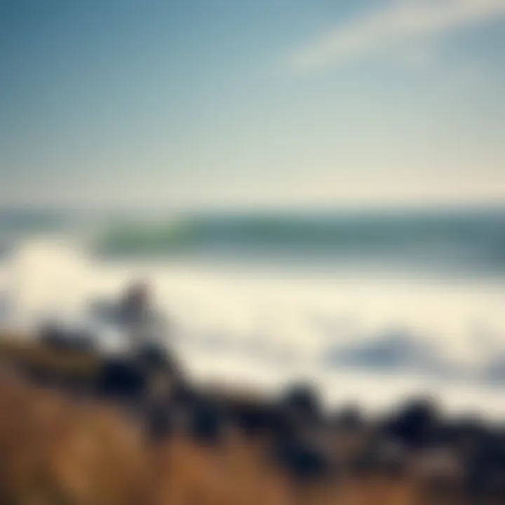 Coastal Conservation Efforts Environmental conservation efforts at the coastline