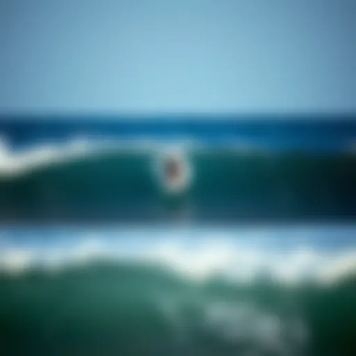 Surfers Riding the South Shore Waves Surfers catching waves at South Shore