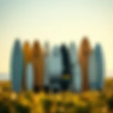 Diversity in Surfboard Designs Artistic representation of diverse surfboard designs and shapes