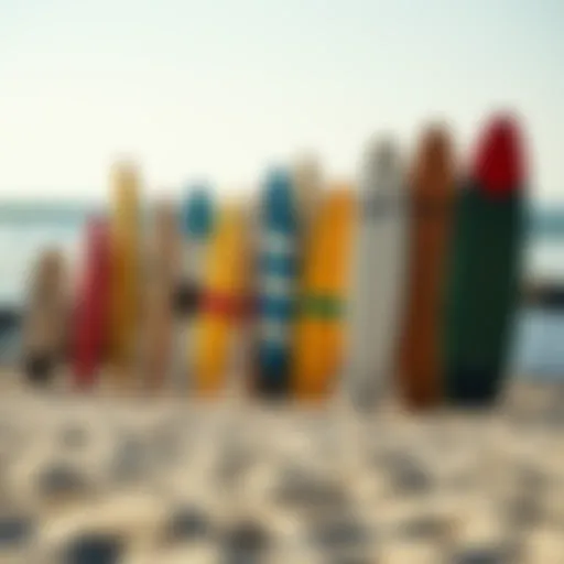 Evolution of Surfboards Vintage surfboards lined up on the beach showcasing their evolution