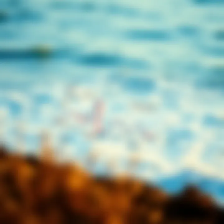 Energy Metabolism Insights Scientific diagram illustrating energy metabolism during fasting.