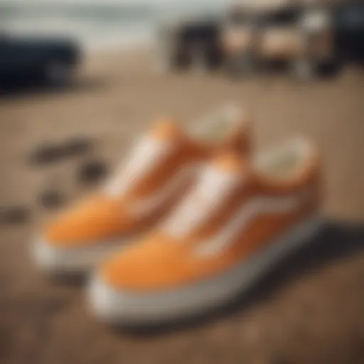 A vintage pair of Vans 70s shoes showcasing their classic design