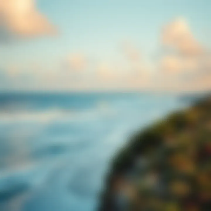 Coastal Beauty of Fernandina Beach Scenic view of Fernandina Beach coastline