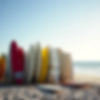 Diverse Surfboards on Fernandina Beach Surfboard collection on the beach