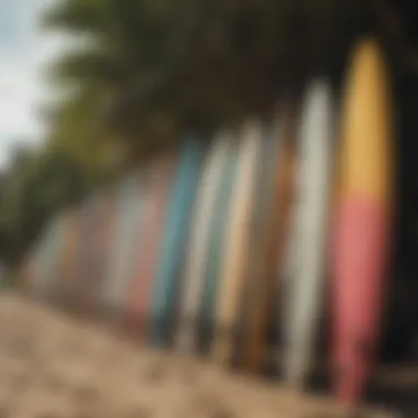 A selection of diverse used surfboards lined up on a beach