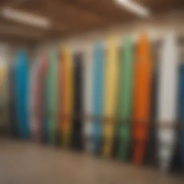 Different types of FCS racks displayed in a surf shop.
