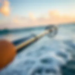 Close-up view of Fiblink surf spinning fishing rod