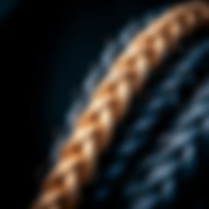 Detailed view of braided fishing line showing strength and texture