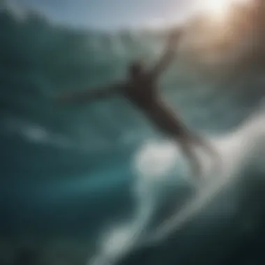 The Journey of Swimming Flippers Through Time Historical evolution of swimming flippers