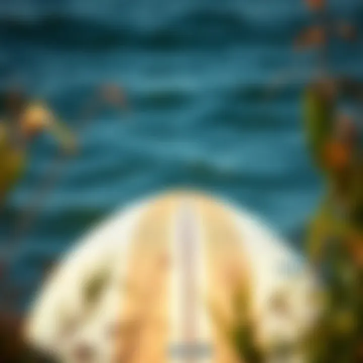 Surfboard Maintenance Tips Essential maintenance tips for prolonging surfboard lifespan