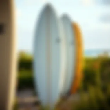 Surfboard Types for Various Surfing Styles Different types of surfboards tailored for diverse surfing styles