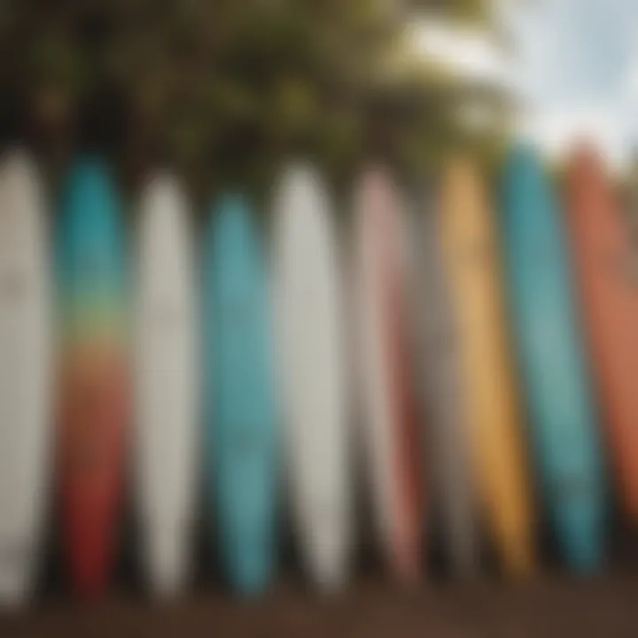 Surfboards displayed at Honolua Surf Co.