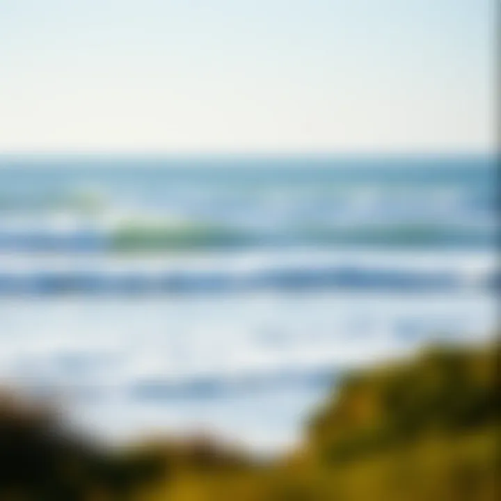 The Perfect Waves of Hossegor Gentle waves crashing on the pristine shores of Hossegor