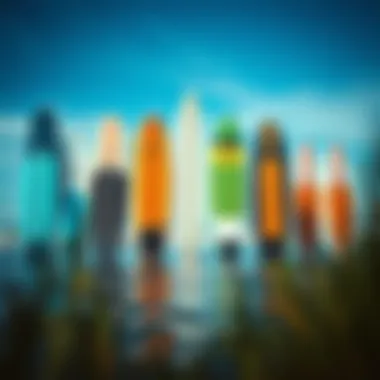 Exploring Different Stand Up Paddleboard Designs Diverse types of stand up paddleboards showcasing different designs