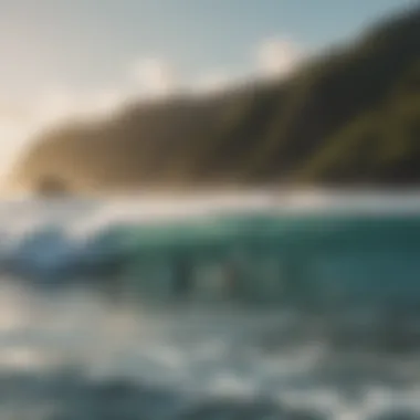 A group of surfers enjoying the waves together