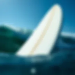 Detailed view of a 48 inch skimboard showcasing its shape and curvature.