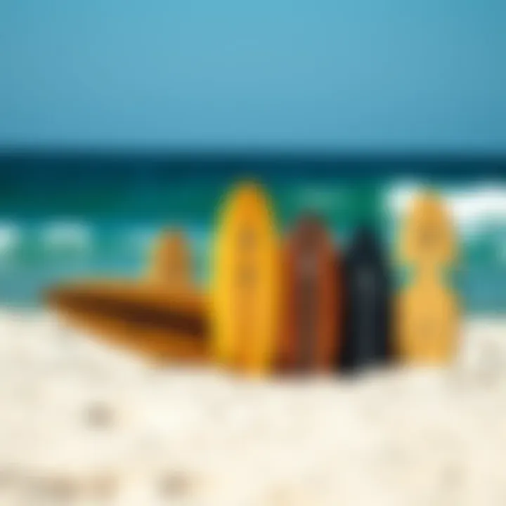 Selection Guide for Skimboard Designs A selection of skimboards highlighting various designs and styles.