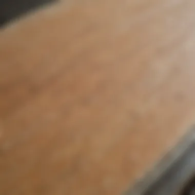 Close-up of a skimboard highlighting the texture and materials used in its construction.