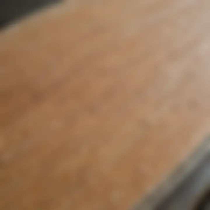 Close-up of a skimboard highlighting the texture and materials used in its construction.