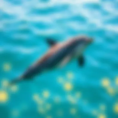 Graceful Dolphin in Its Habitat A dolphin swimming gracefully in clear blue waters