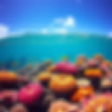 Colorful coral reefs teeming with marine life