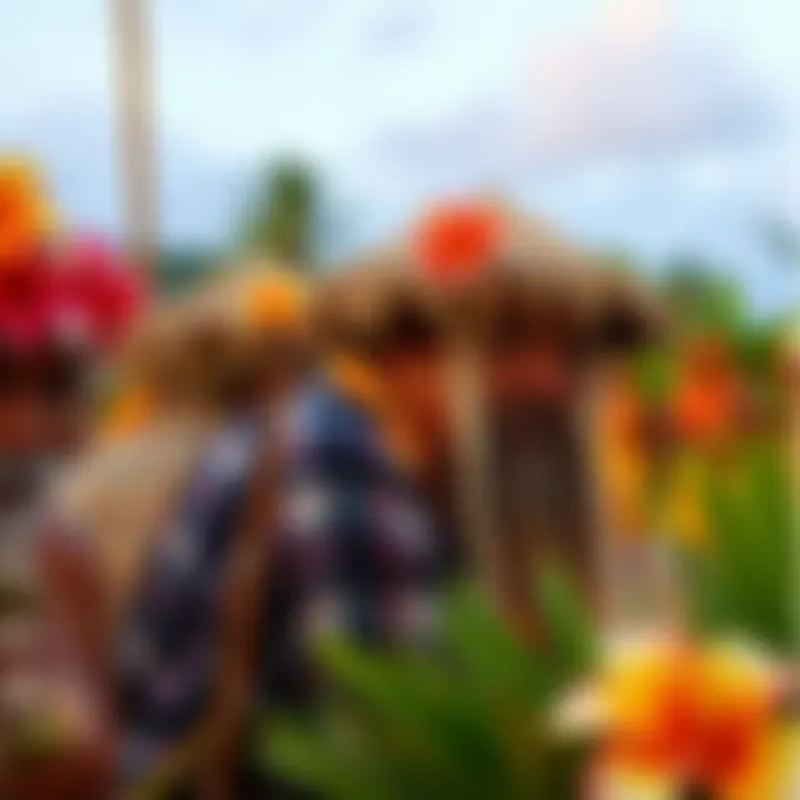 Traditional Hawaiian luau with cultural performances