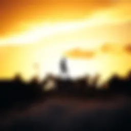 Duke Kahanamoku statue against a sunset backdrop