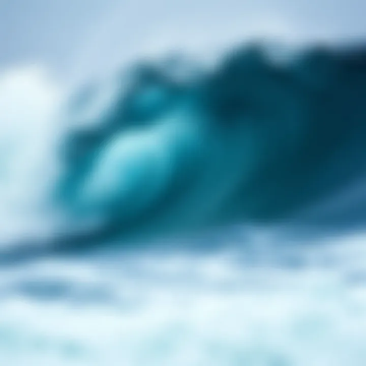 Environmental Implications of the Kanagawa Wave An environmental perspective on the Kanagawa Wave's influence on coastal ecosystems.